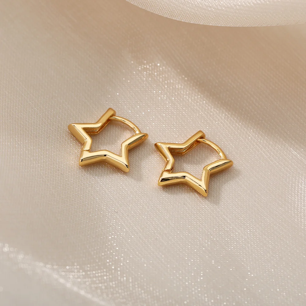 For Women Stainless Steel Jewelry Gift Accessories Brincos