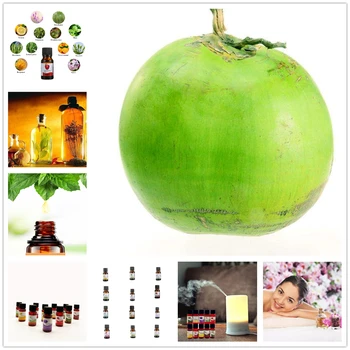 

Pure Essential Oils for Aromatherapy Diffusers Coconut Tea tree Longan,Grape Orange Rosemary Apple Oil Home Air Care