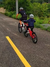  ALWAYSME Co-Pilot Parenting Child Bike Trailer 