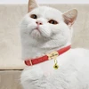 Cute Cat Personalized ID Collar Engraved  Kitten Puppy Name Collars Necklace For Small Medium Cats With Bell Fish Tag Nameplate 5