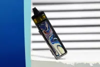 Electronic Cigarettes