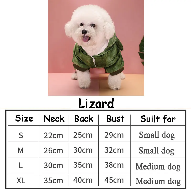 Lizard