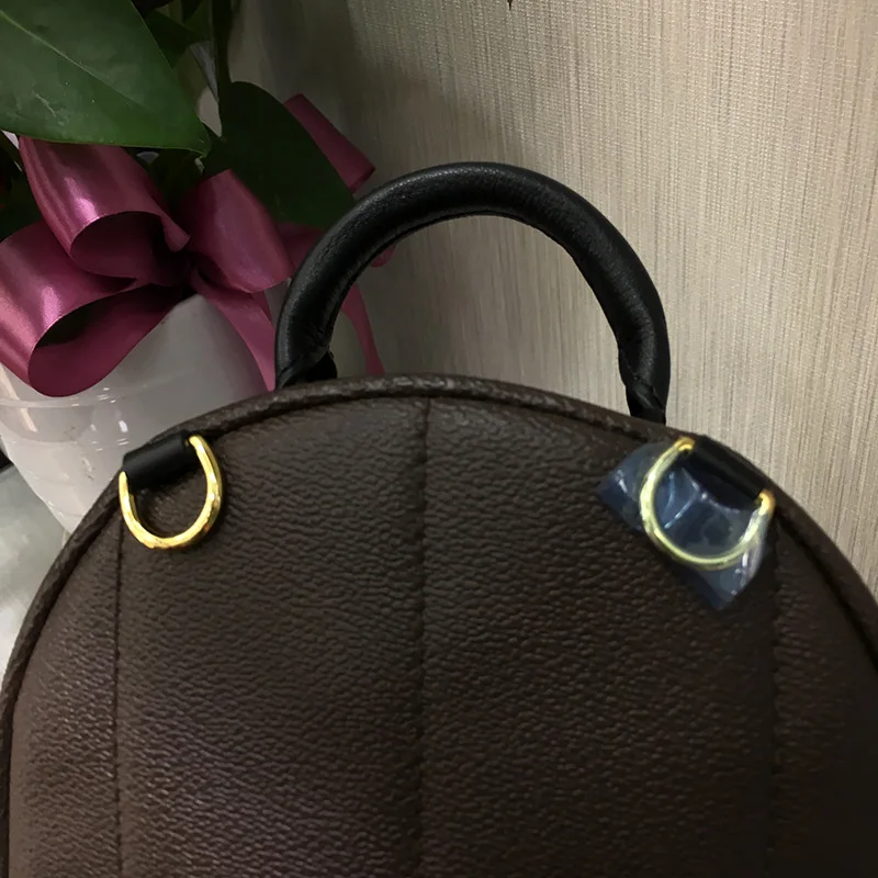 Luxury-Backpack-Authentic-Canvas-Palm-Springs-Mini-Women-Bags-Famous-Designer-Classics-Lady-Shoulder-Bag-With (3)