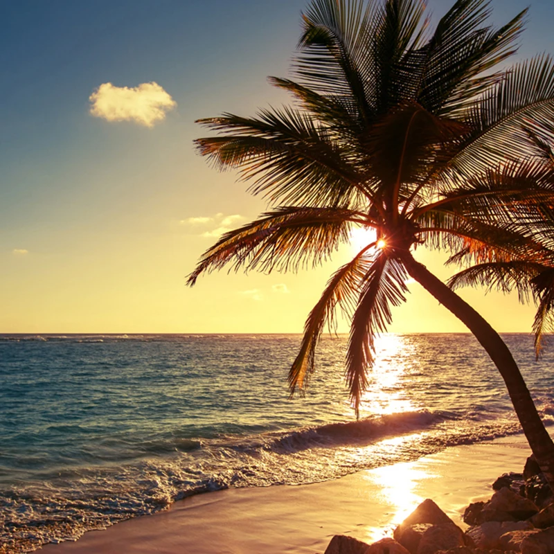 Custom-3D-Photo-Wallpaper-Living-Room-Sea-Sunrise-Sunset-Seaside-Beach-Coconut-Trees-Nature-Landscape-Mural (4)