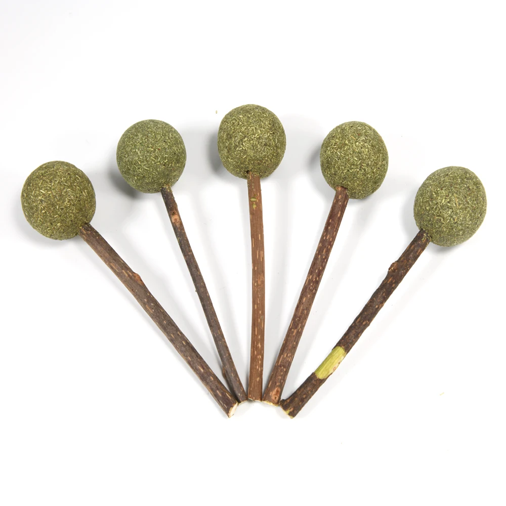 Catnip Lollipop Toy