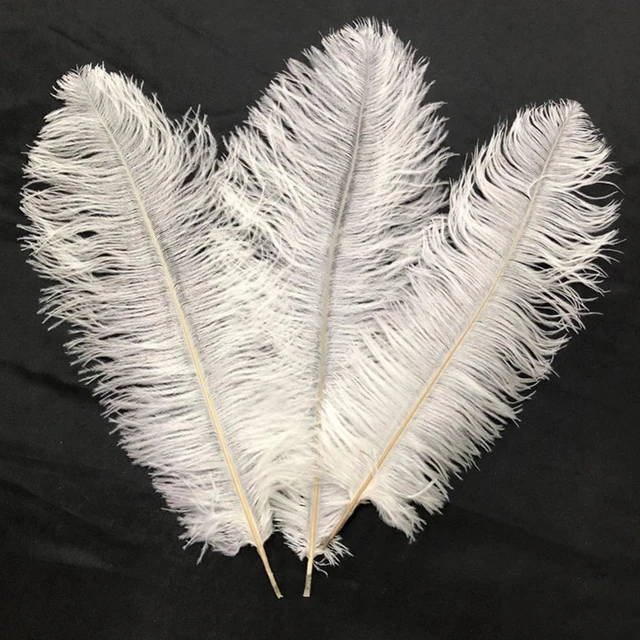 15-20cm 25-30cm 30-35cm White Ostrich Feather 10pcs Real Ostrich Feathers  Wedding Plume Decorative Home Vase Ornament Plumes - Feather - AliExpress