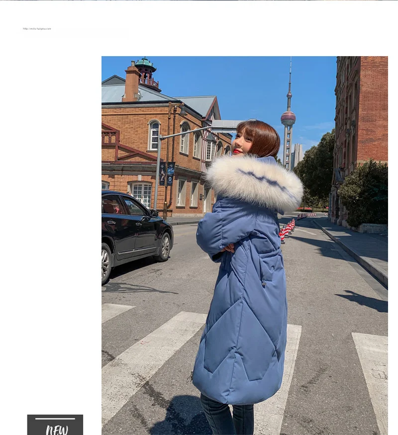 11569942582_822615558