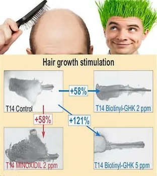 

Ingredient 20ml procapil biotinyl GHK hair loss treatment anti aging hair grow growth