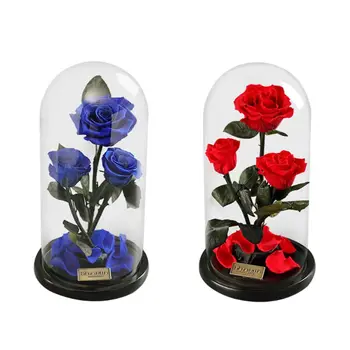

Enchanted Rose Handmade Preserved Rose Glass Dome on Wood Base N1HA