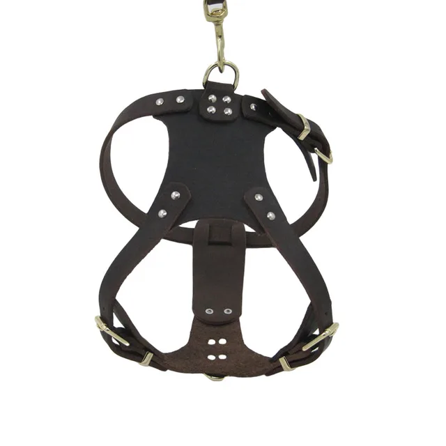 Leather Dog Harness 2