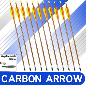 

Real Feather Carbon Arrows 35inches Spine 700 Archery Target Bow And Arrow for Compound/Recurve Bow Shooting Hunting Accessories