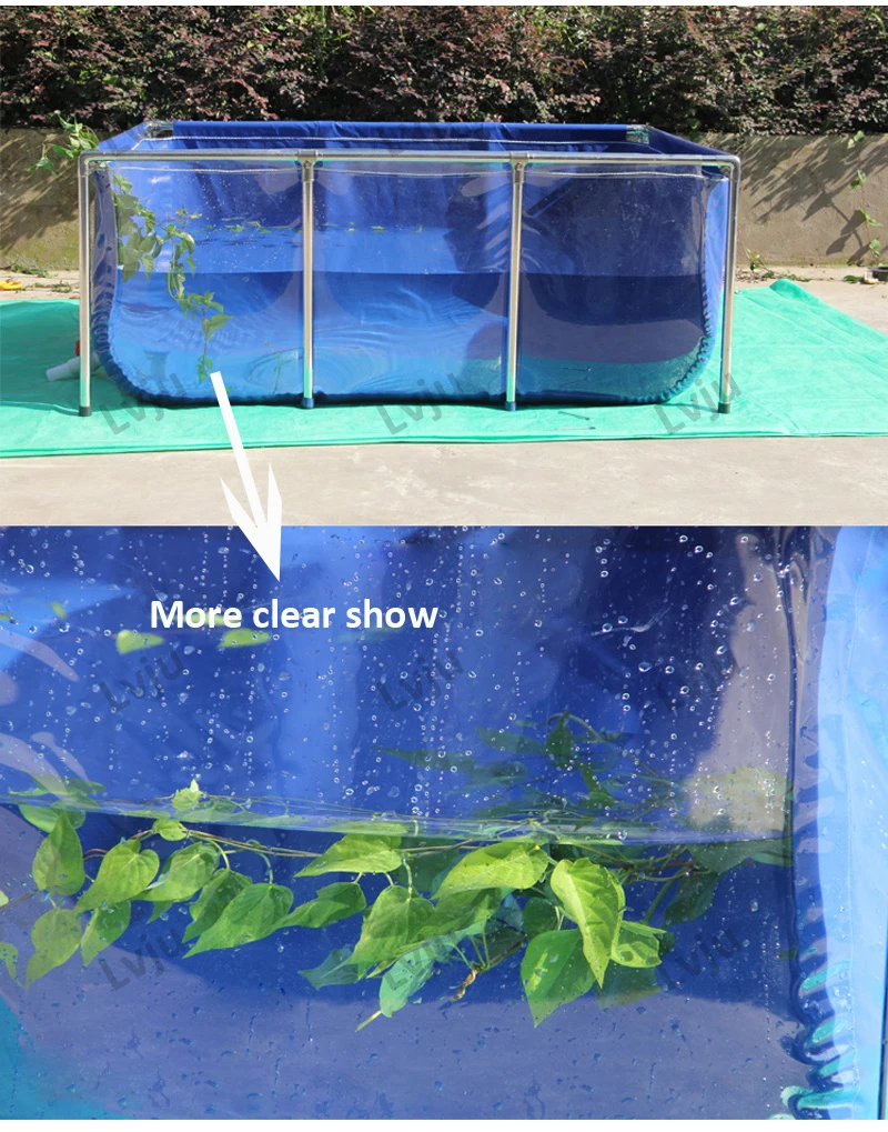 Title 9, Lvju Unique Koi/Betta Fish Pond Ornamental Tran...