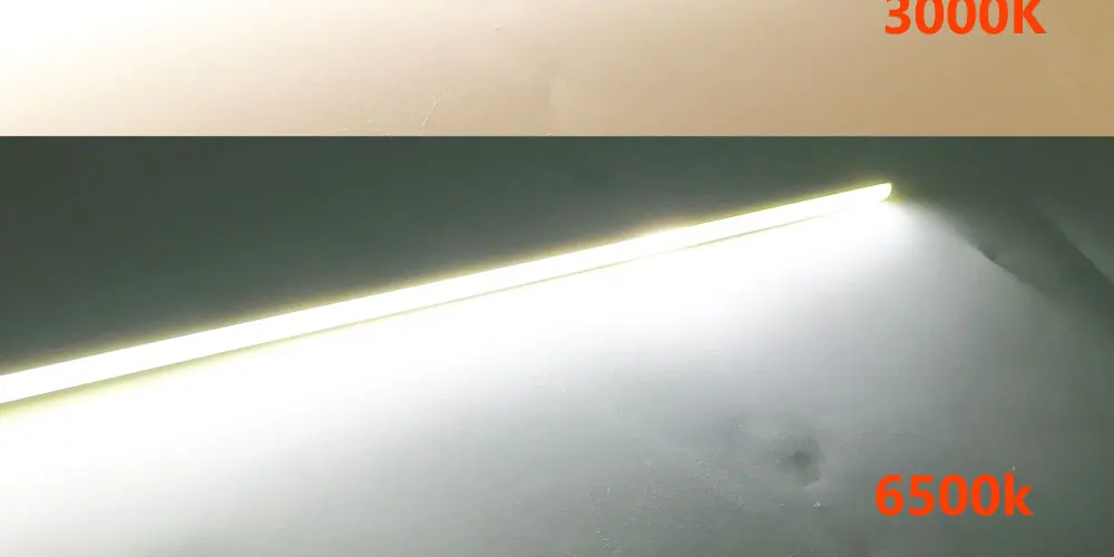 3006_08