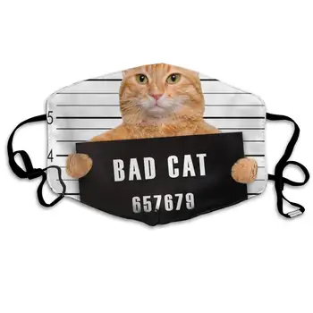

Best Warm Windproof Mask-Comfy with Adjustable Ear Loops Face Masks -Washable Reusable Mouth Masks for Men Women Bad Cat Funny
