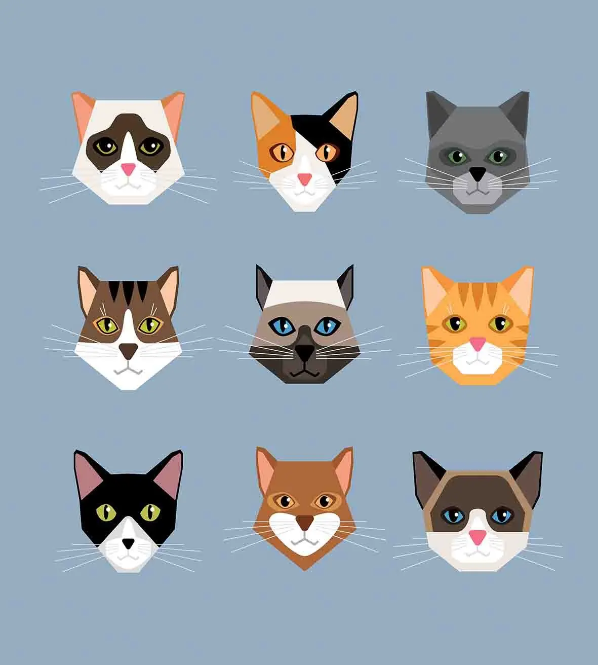 Cat Duvet Cover Set Animal Portrait Set with Kittens Face Whiskers Contemporary Caricature Pattern Decorative 3 Piece Bedding