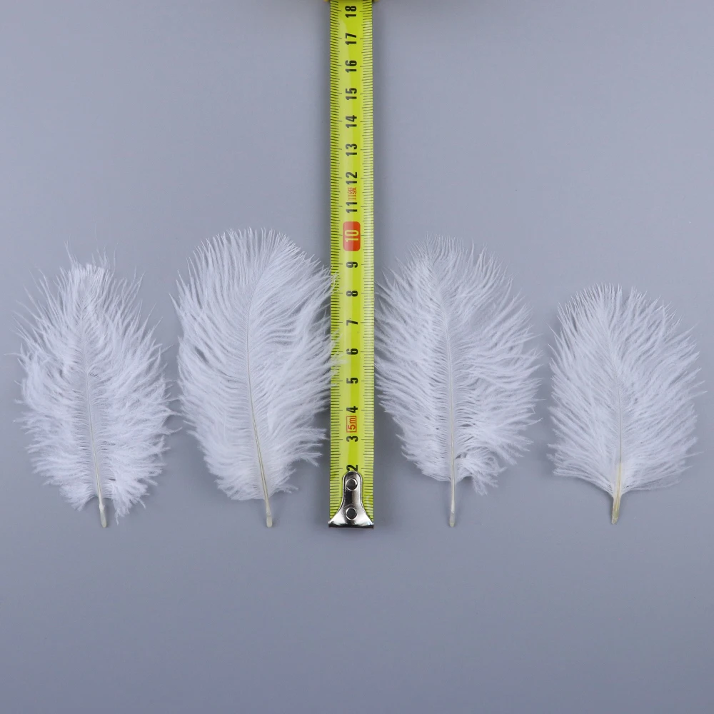 TS0105012 5-10cm ostrich feathers 6