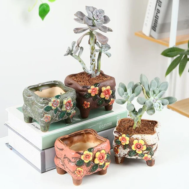 Soucoupe pour Pot de fleurs 2021, nouveau Style de plantes succulentes  mignonnes, soucoupe, jardinière, bureau, maison, jardin, fournitures de  bureau, décor - AliExpress