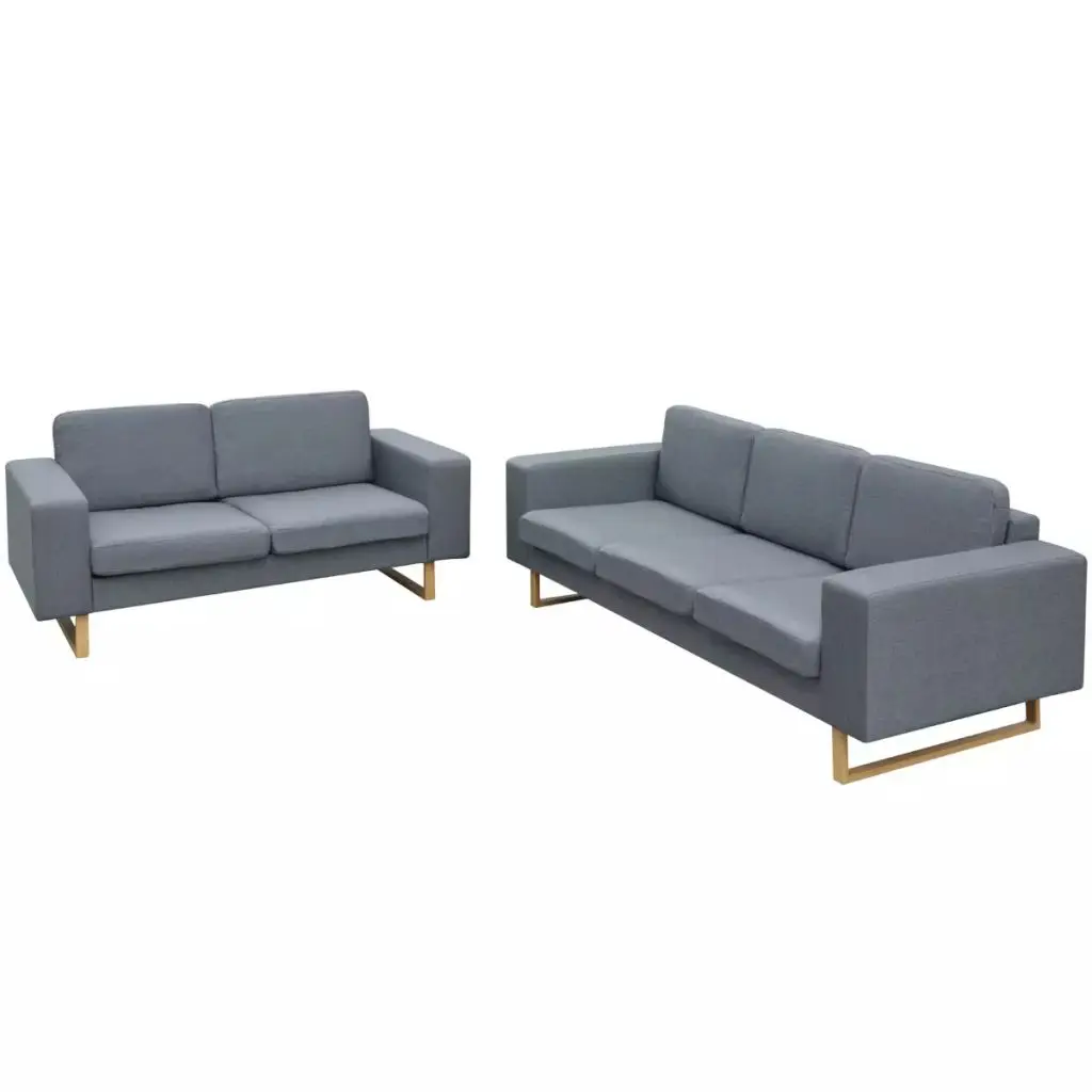 

Elegant 2 Pcs Fabric Sofa Set for Living Room VidaXL Light Gray 2 and 3 Seater Sofa Set Modern Furniture for Livingroom Durable