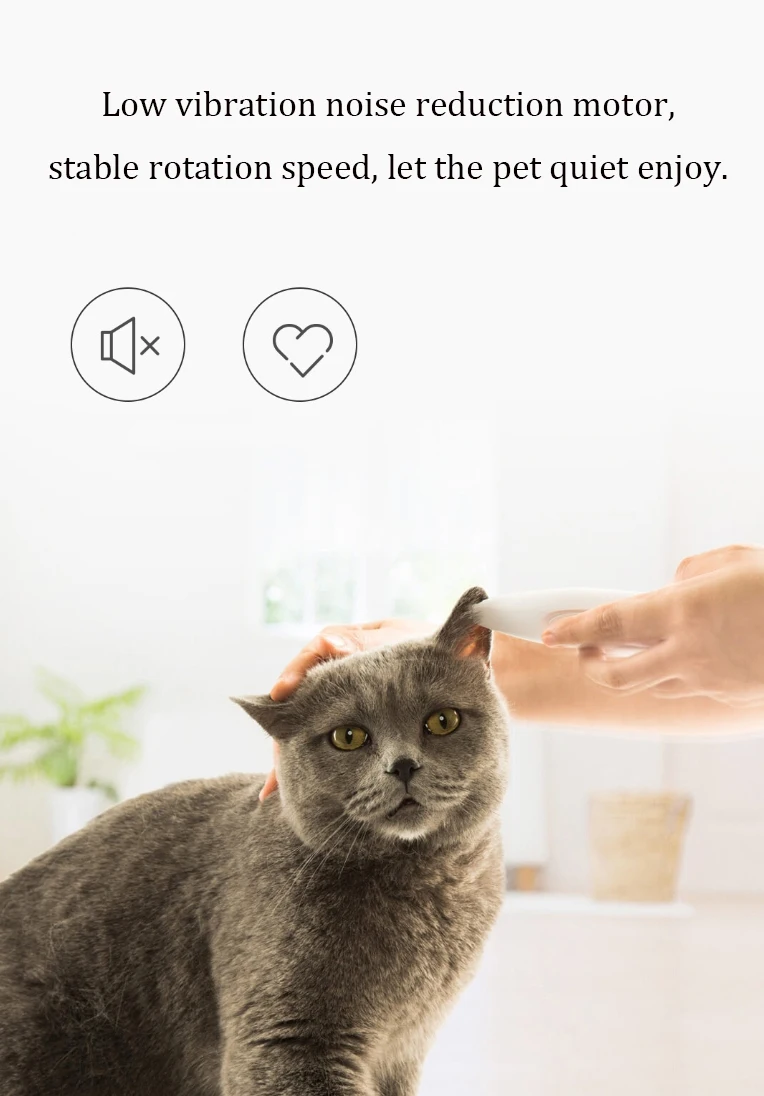 20190827_113052_002_02