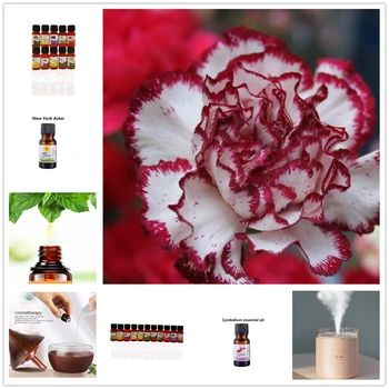

10ml Red Peony Water-soluble Flower Essential Oil for Fragrance Aromatherapy Diffusers Winter Jasmine Improve Mood Aroma Oil