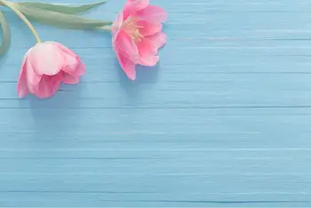 

LIFE MAGIC BOX Photocall Boda Wood Floral Backdrop Big Flowers Earring Necklace Ring Photography Backgrounds for Photo Studio