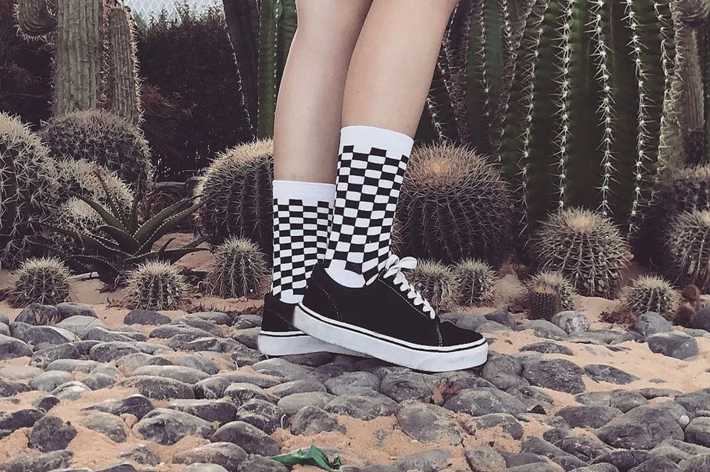 5111414535_866082455