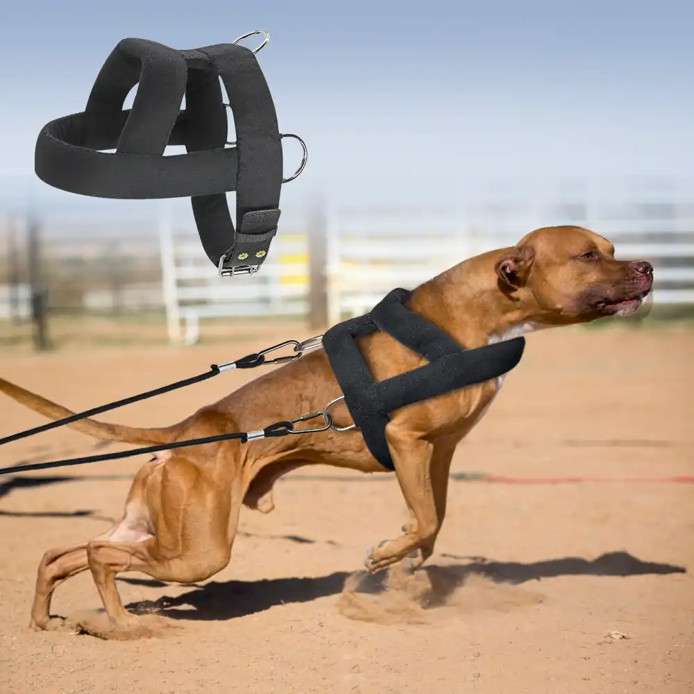 Weight harness for dogs Clearance