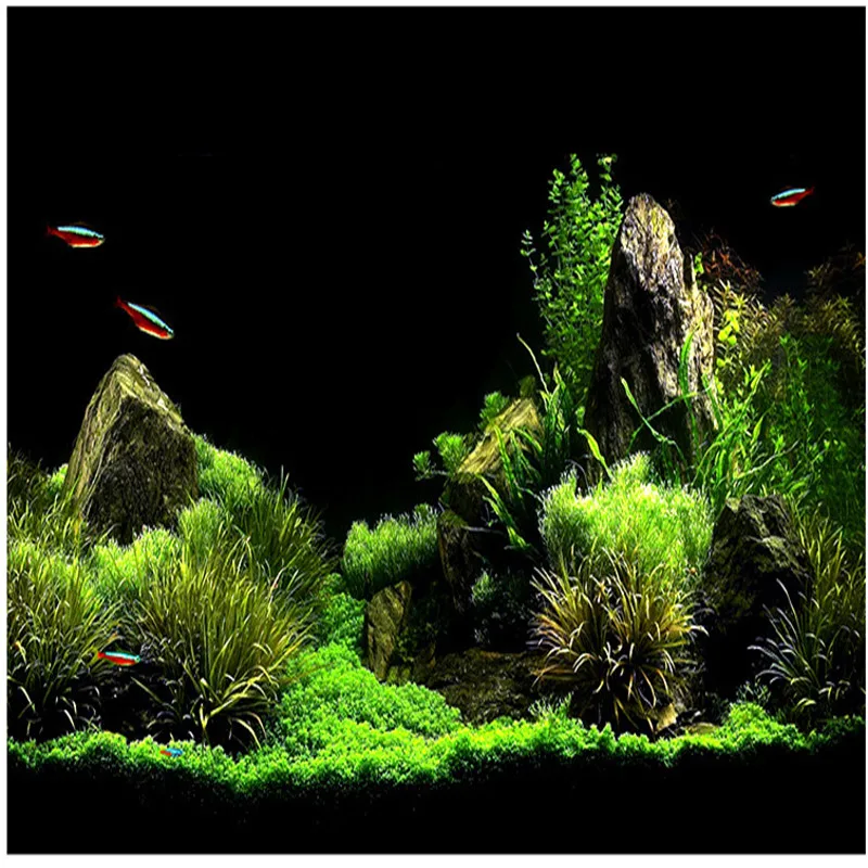 100G Water Grass Mud Aquarium Float Grass clay Aquarium Soil waterweeds  Substrate Fish Tank Decoration for Freshwater Aquarium - AliExpress