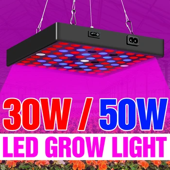 

Grow Tent LED Full Spectrum Plant Light 30W 50W Seedling Fito Lamp Indoor Phyto Lights LED Flower Hydroponics Growing Lampada