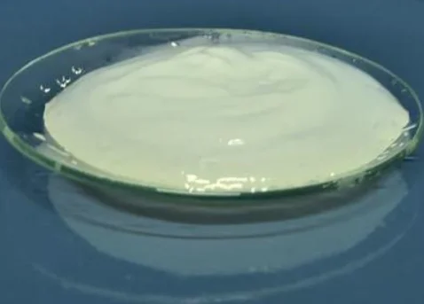 

Bacterial Cellulose Hydrogel