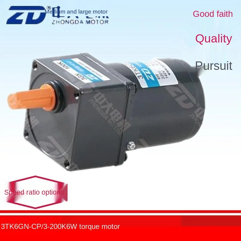 6W Torque Motor 3TK6GN-CP/3K~200K 220V Rewinding Torque/Locked Rotor Gear Motor