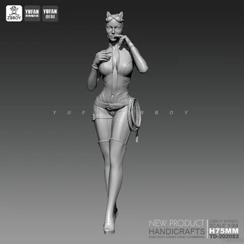 

1/24 Resin Kits Catwoman white mold resin Soldier Model self-assembled TD-202052