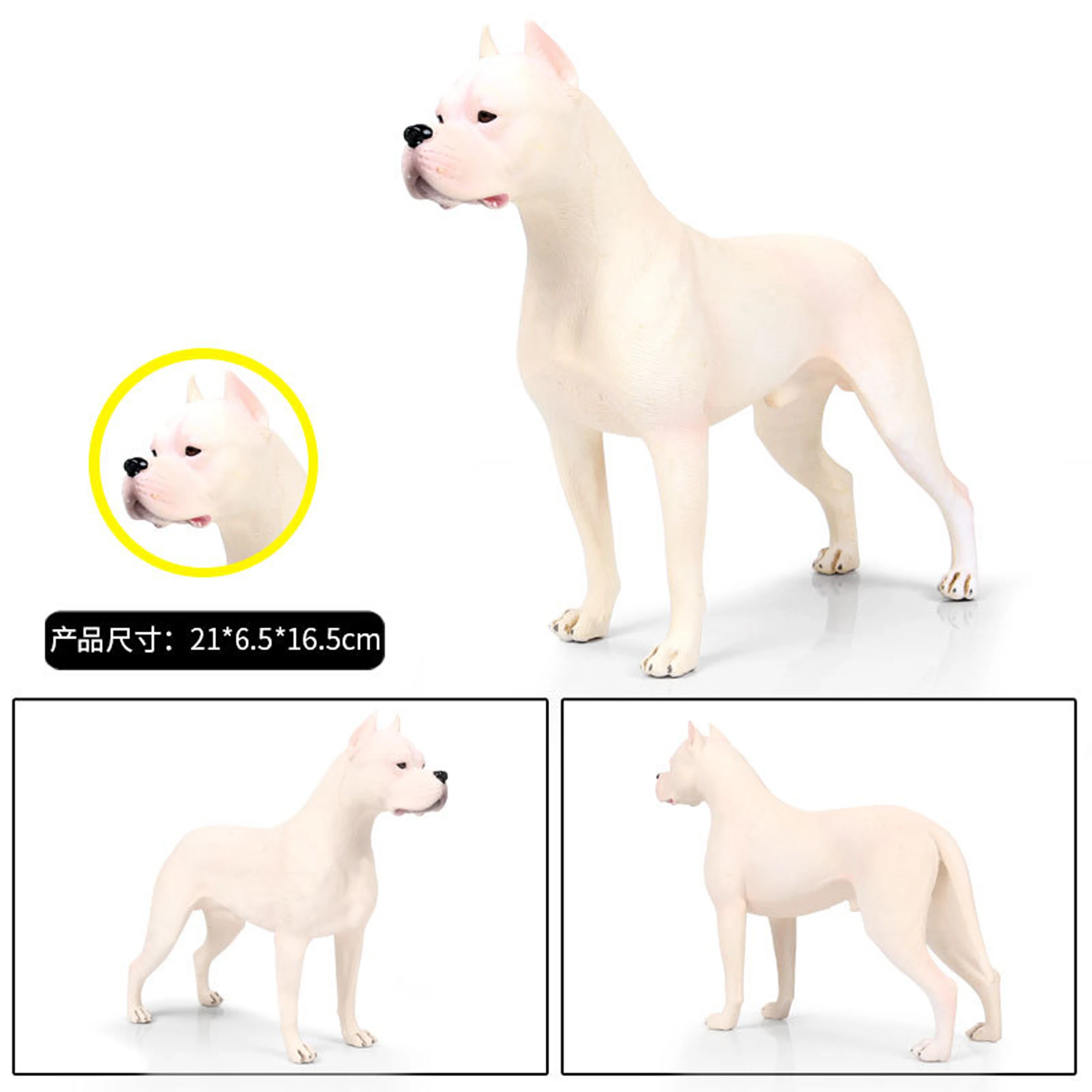 1 шт., однотонные белые/коричневые реалистичные фигурки dogo Argentino, вечерние игрушки для домашних животных, лучшие детские игрушки для собак