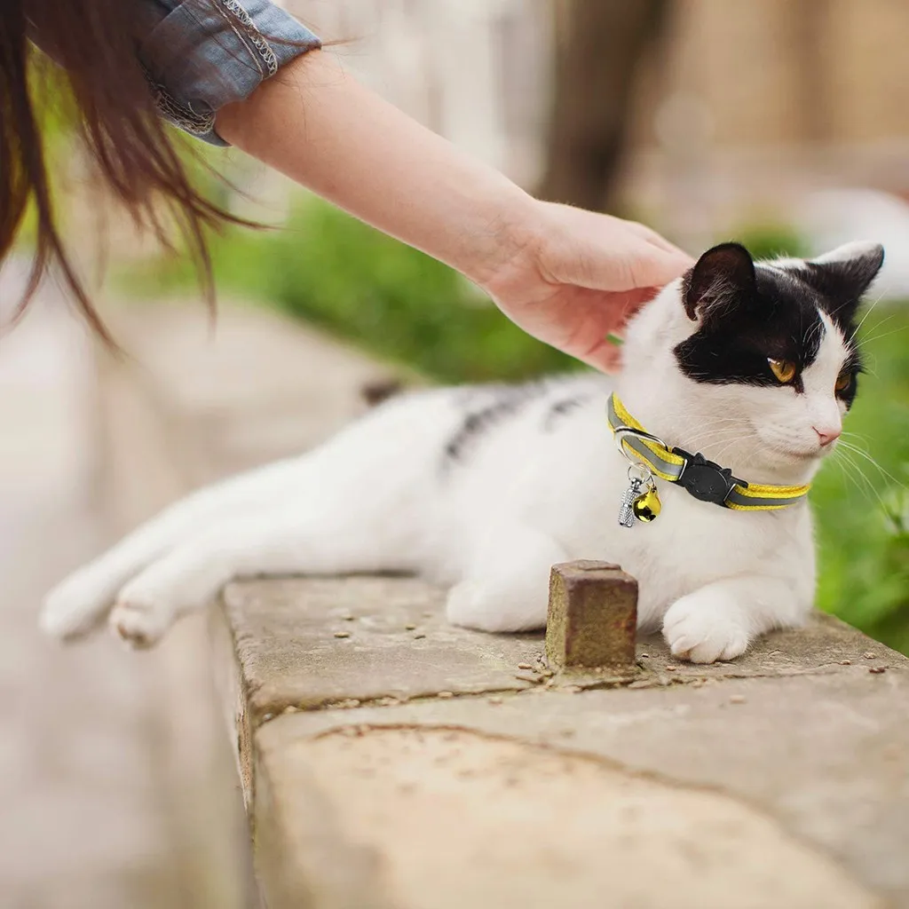 Ошейники с колокольчиками 6 x Cat ошейники с подвеской для маленьких собак ошейники для кошек поставка Лидер продаж 9m35