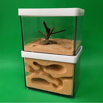 

Ant Farm with feeding area Pc Ants Castle Pet Cages insect house Workshop Insect Landscaping Housing workshop HW239