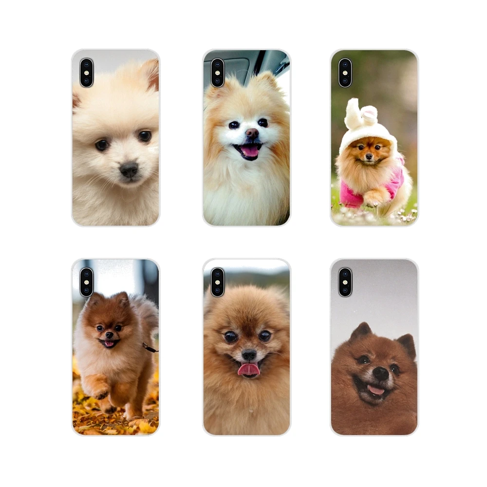 For Samsung Galaxy J1 J2 J3 J4 J5 J6 J7 J8 Plus 2018 Prime 2015 2016 2017 Accessories Phone Shell Covers Pomeranian dogs dog | Мобильные