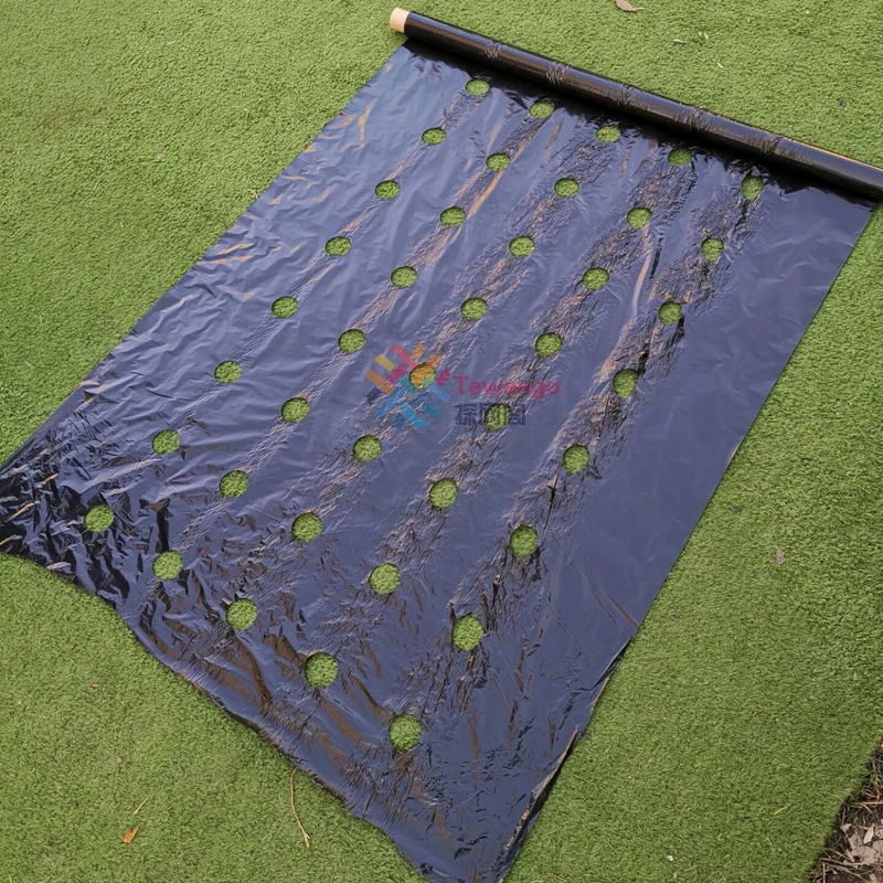 HTB1d3qhLNnaK1RjSZFtq6zC2VXaK