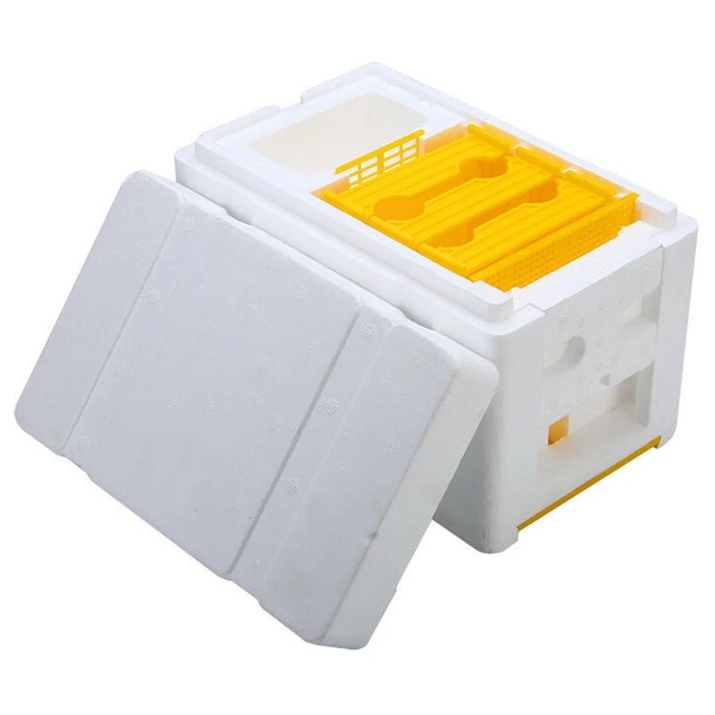 

Bee Hive Beekeeping King Box Pollination Box Foam Frames Beekeeping Tool Kit