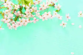 

SHENGYONGBAO Art Fabric Custom Photography Backdrops Prop Flower Wood Planks Christmas day Theme Photo Studio Background DRS-41
