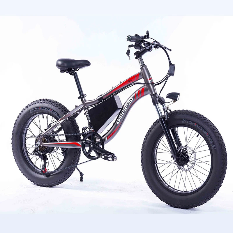 

Electric Bicycle Aluminum 20 Inch Electric Bike for Adults 7 Speed E-Bike with 36V 10AH Built-in Lithium Battery 350W Motor
