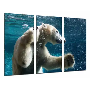 

Wild Animal Polar Bear Swimming, Diving, Hunting, photo print on wood, modern picture decorative 26825