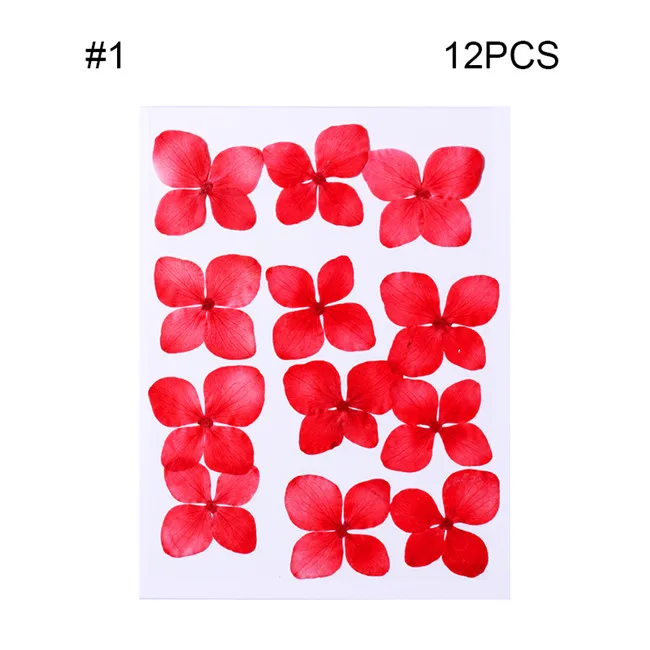 1 коробка микс сушеных цветов дизайн ногтей DIY консервированные Цветочные Стразы в форме сердца стеклянная бутылка для украшения ногтей - Цвет: 14