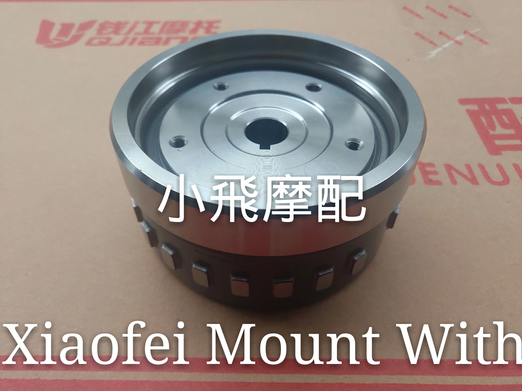 Benelli BJ125-3E TNT125 Electric Motorcycle Stator Magneto