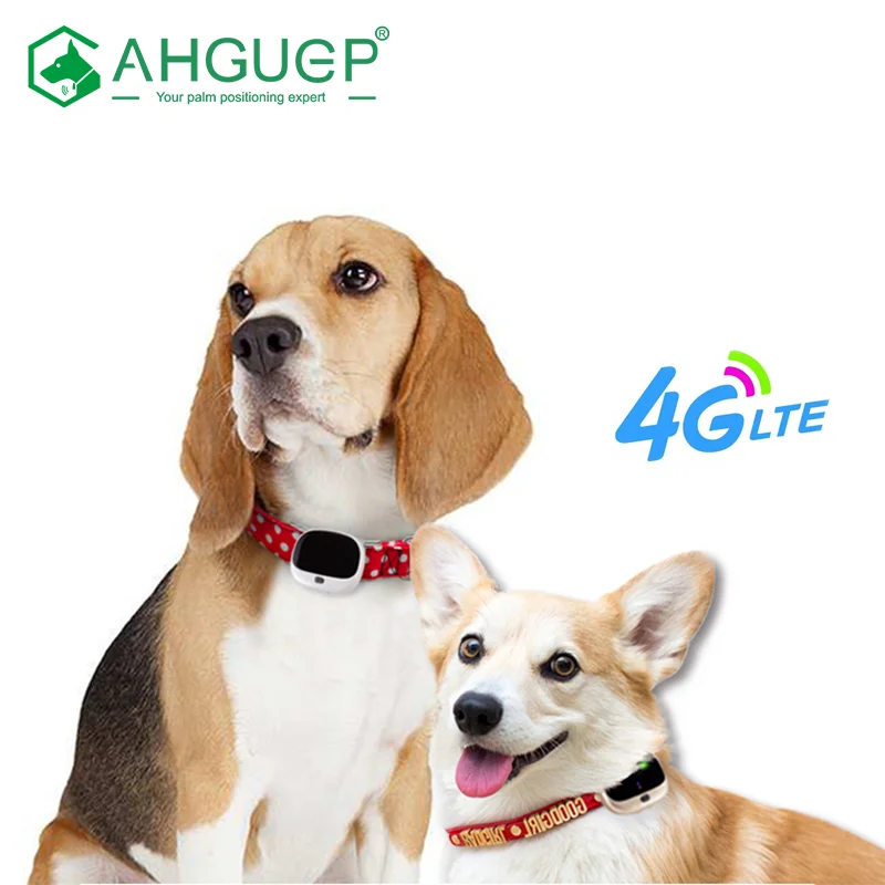 

Smart Mini Dog GPS Tracker Collar AGPS LBS Tracking IP67 Waterproof SMS Positioning Geo Fence Track Device Pet 4G Locator