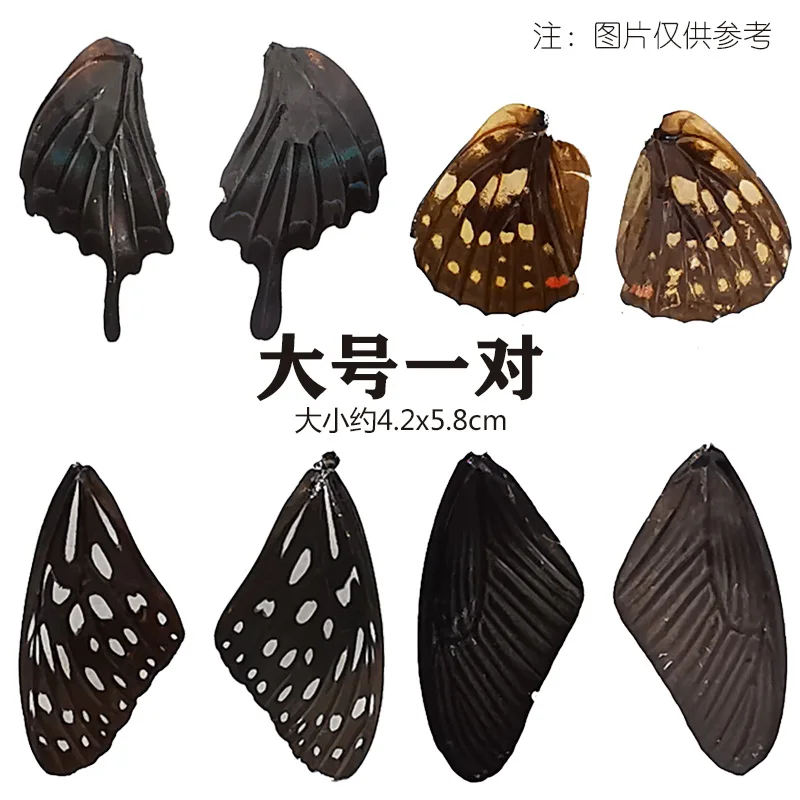 2 шт настоящие крылья бабочки, 3D образцы крыльев бабочки, натуральные высушенные крылья бабочки мотылька для кольца/ожерелья/обрамленных бабочек - Цвет: dahao