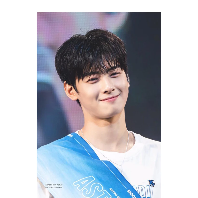 Other Home & Living Custom Cha EunWoo Poster Home Decoration Fashion