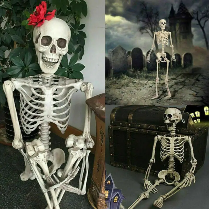 Accessoires D Halloween Squelette De Mode Peur Squelette A La Main Realiste Corps Humain Posable Modele D Anatomie Decor Fete Festival 40cm Aliexpress Accessoires D Halloween Squelette De Mode Peur Squelette A La Main Realiste Corps Humain Posable Modele D Anatomie Decor Fete Festival 40cm Aliexpress