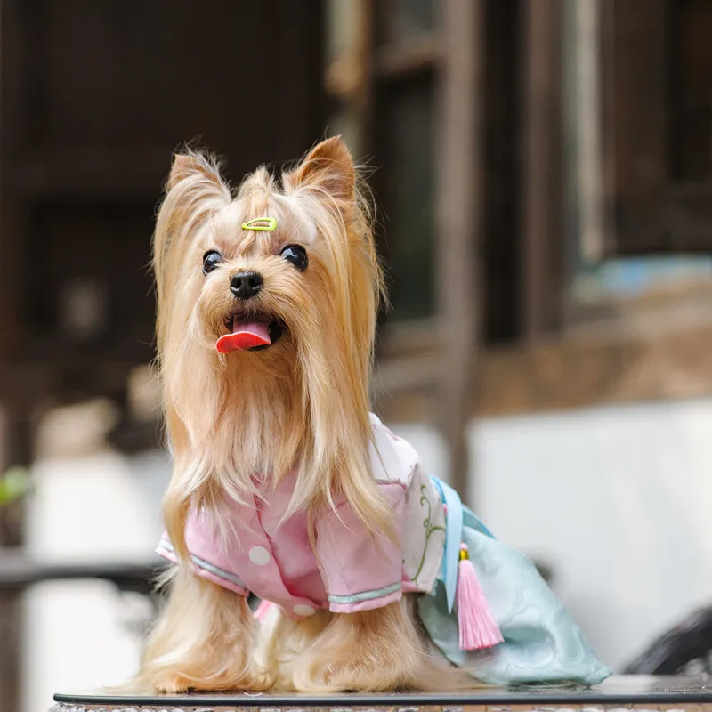 Китайское Новогоднее платье для собак зимняя одежда для домашних животных Костюм для собак Чонсам кошка щенок костюм юбка свадебное платье одежда для маленьких собак