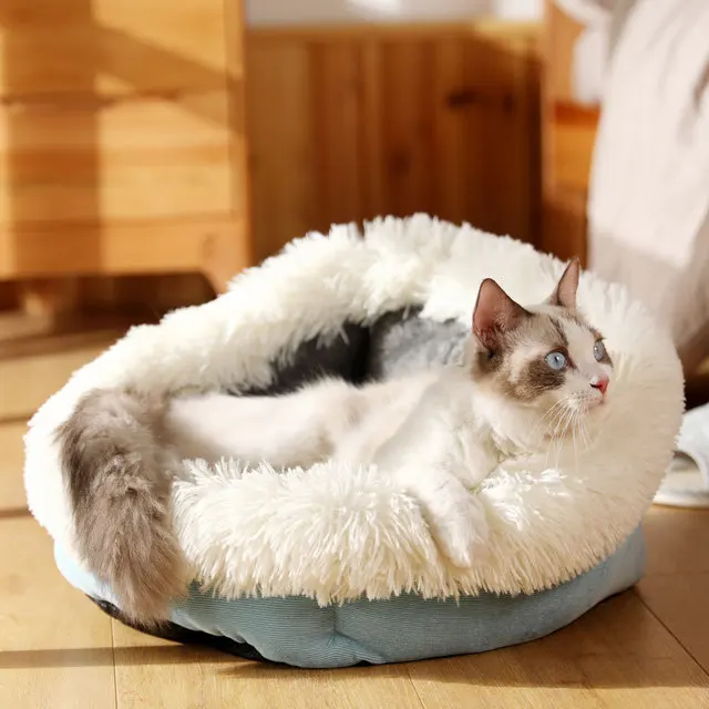 Petshy Winter Warm Pet Dog Bed Sofa Cat House Puppy Cats Kennel Home Sleeping Pad Mat Cushion Loungers for Dogs Pet Products