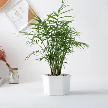 

Flower Rack Iron Hexagon Simple Succulent Green Plant Ceramic Flower Pot Bamboo Support Flower Stand Iron Frame Set Green Pot